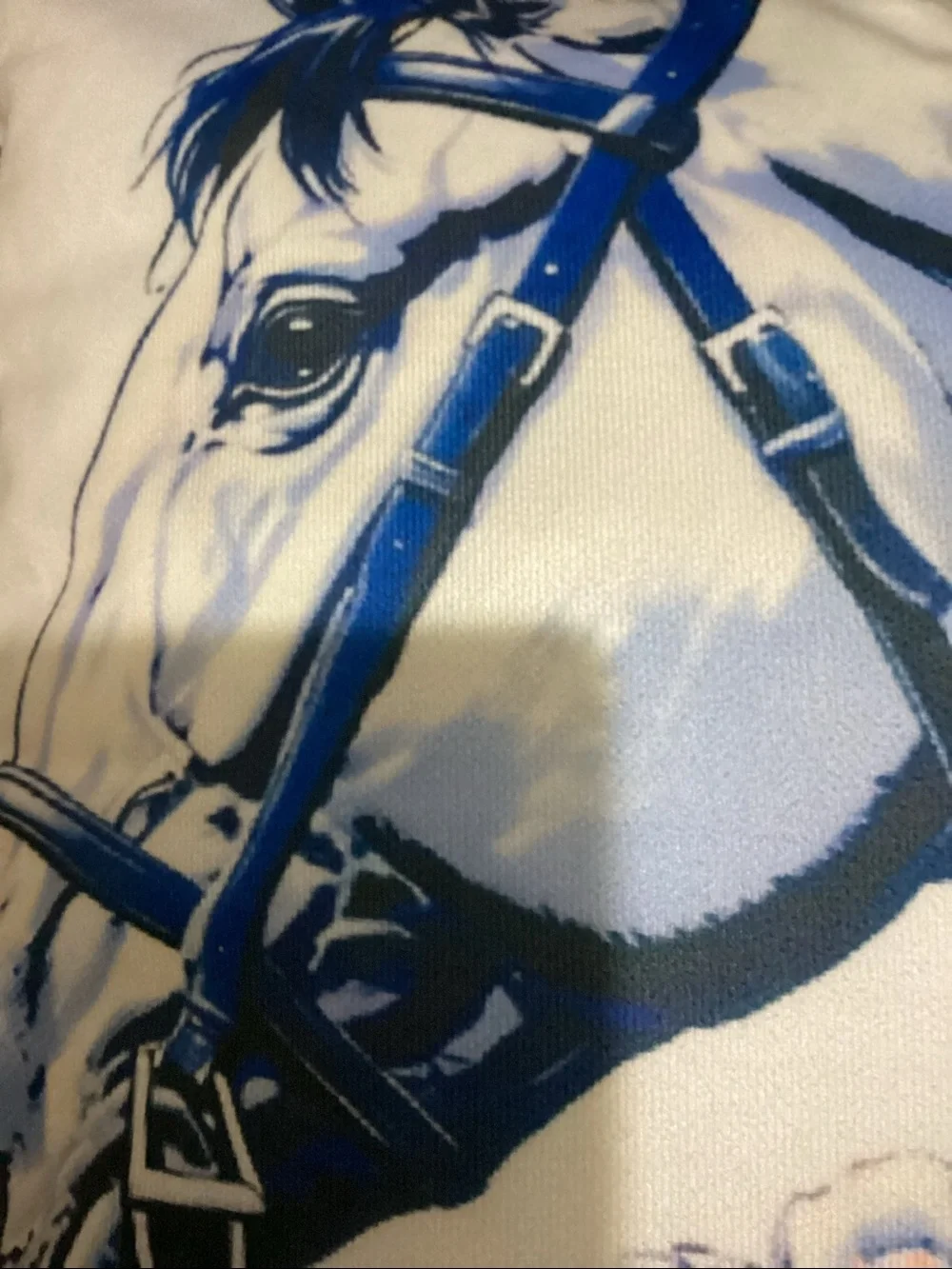 Blue Horse Toss Pillow. 16”x16”